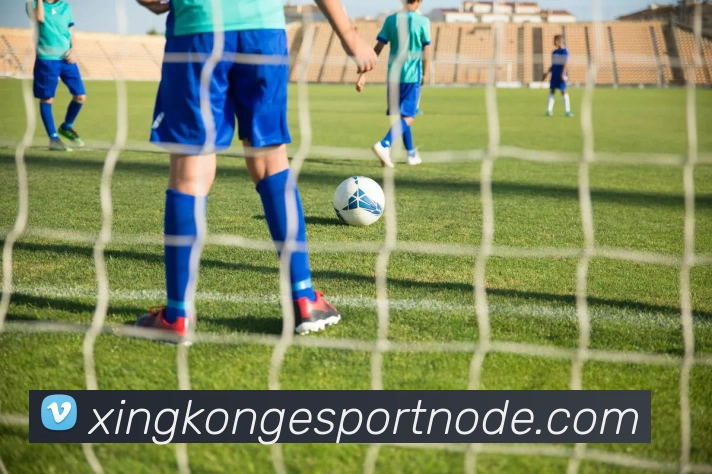 星空电竞平台生态图